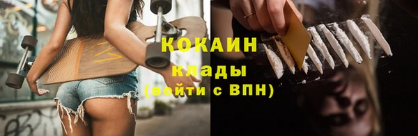гидра Алексин