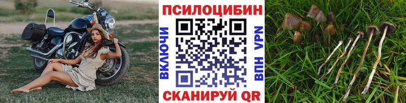 Галлюциногенные грибы MAGIC MUSHROOMS  MEGA как зайти  Агрыз  как найти закладки 
